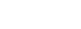 ACTV Online project