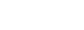 ACTV Online project